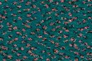 Ковролин Balsan Zenith Roll 256 фото  | FLOORDEALER